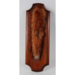 * A taxidermy Fox (Vulpes vulpes) brush, mounted on an oak shield, h.51cm.Condition report: From ‘