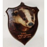 * An early 20th century taxidermy Badger (Meles meles) mask, mounted on an oak shield annotated