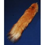 * A taxidermy Fox (Vulpes vulpes) brush on hook, L.44cm.Condition report: From ‘A Broad Collection