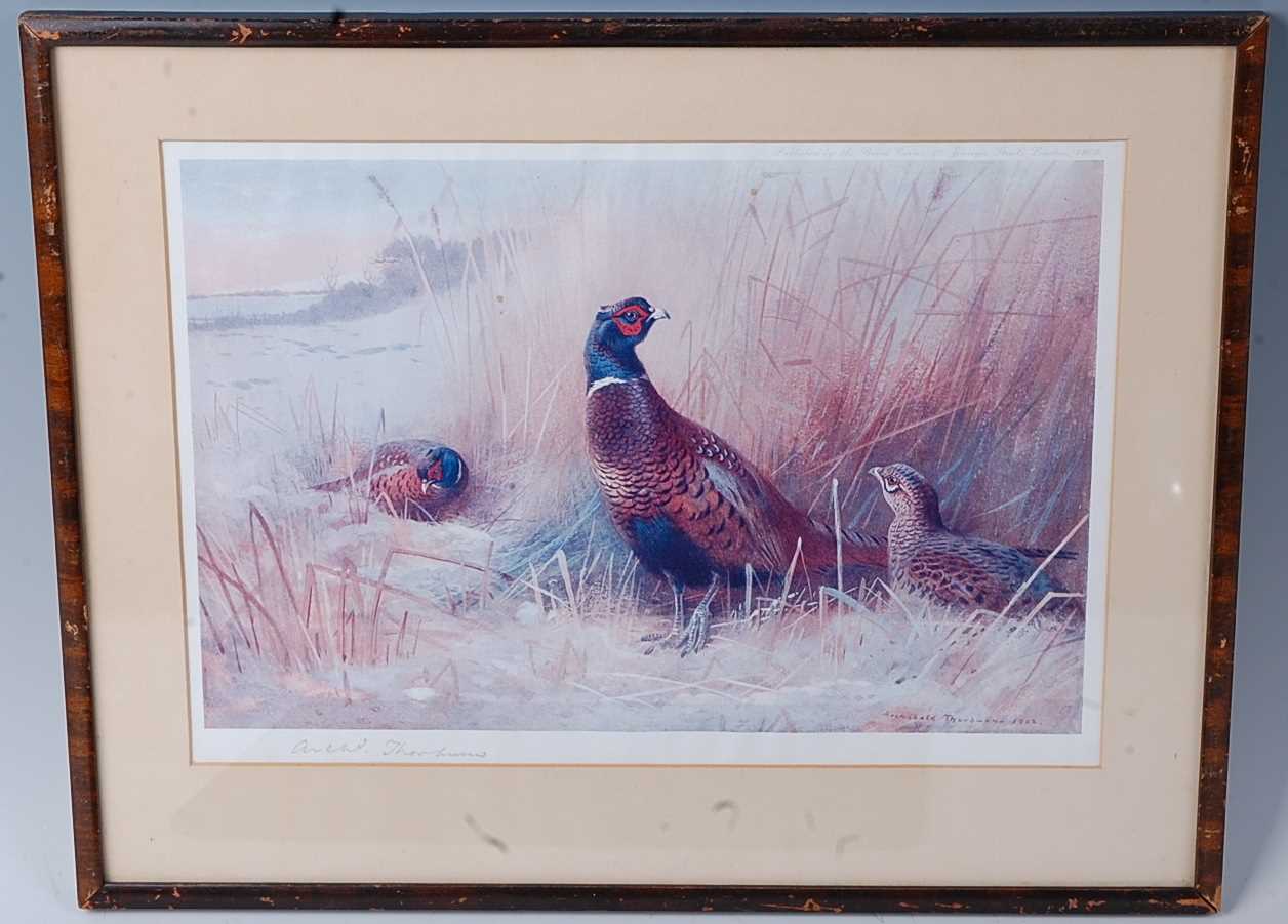 After Archibald Thorburn, (1860-1935), Pheasants and Grouse amongst reeds, lithograph print, - Image 2 of 5