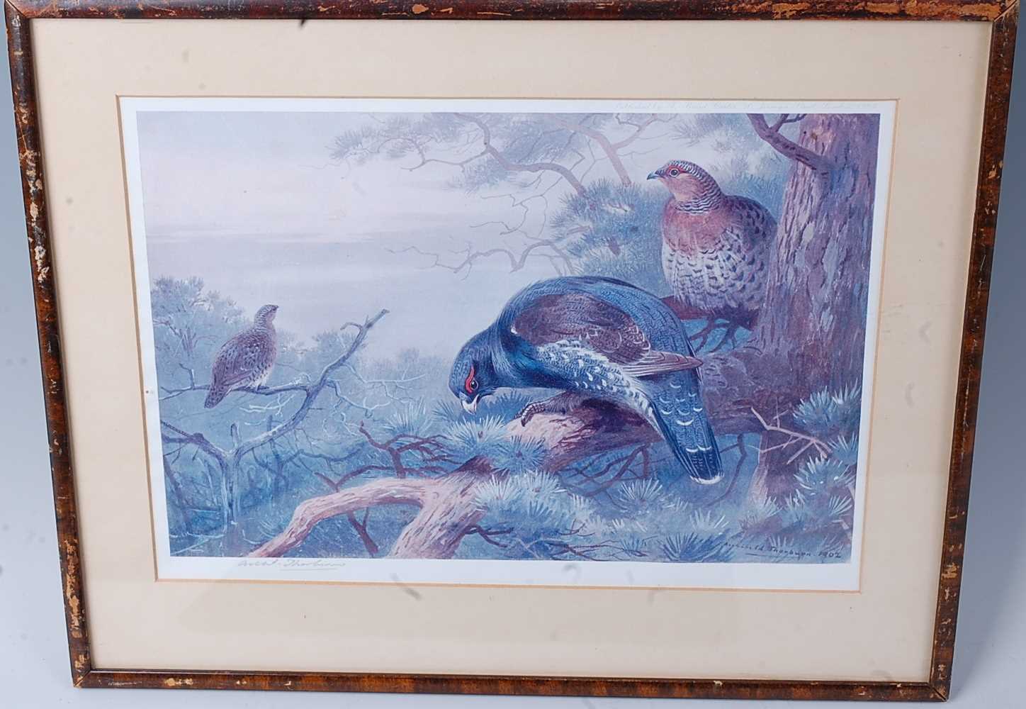 After Archibald Thorburn, (1860-1935), Pheasants and Grouse amongst reeds, lithograph print, - Image 4 of 5