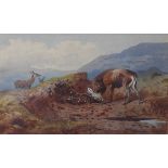 Archibald Thorburn (1860-1935), Stag within a mountain landscape, watercolour, signed lower right