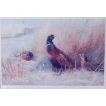 After Archibald Thorburn, (1860-1935), Pheasants and Grouse amongst reeds, lithograph print,