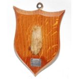 * An early 20th century taxidermy Fox (Vulpes vulpes) pad mounted on an oak shield with silver