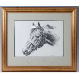 Frank Wooton, (1911-1998), Portrait of Derby Winner Blakeney, black chalk on paper, signed and