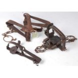 * A Victor folding trap, having 3 1/2" smooth jaws, together with a Newhouse No.4 trap and a