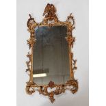 A Rococo Revival carved giltwood pier glass, the rectangular plate surmounted with a bird of prey
