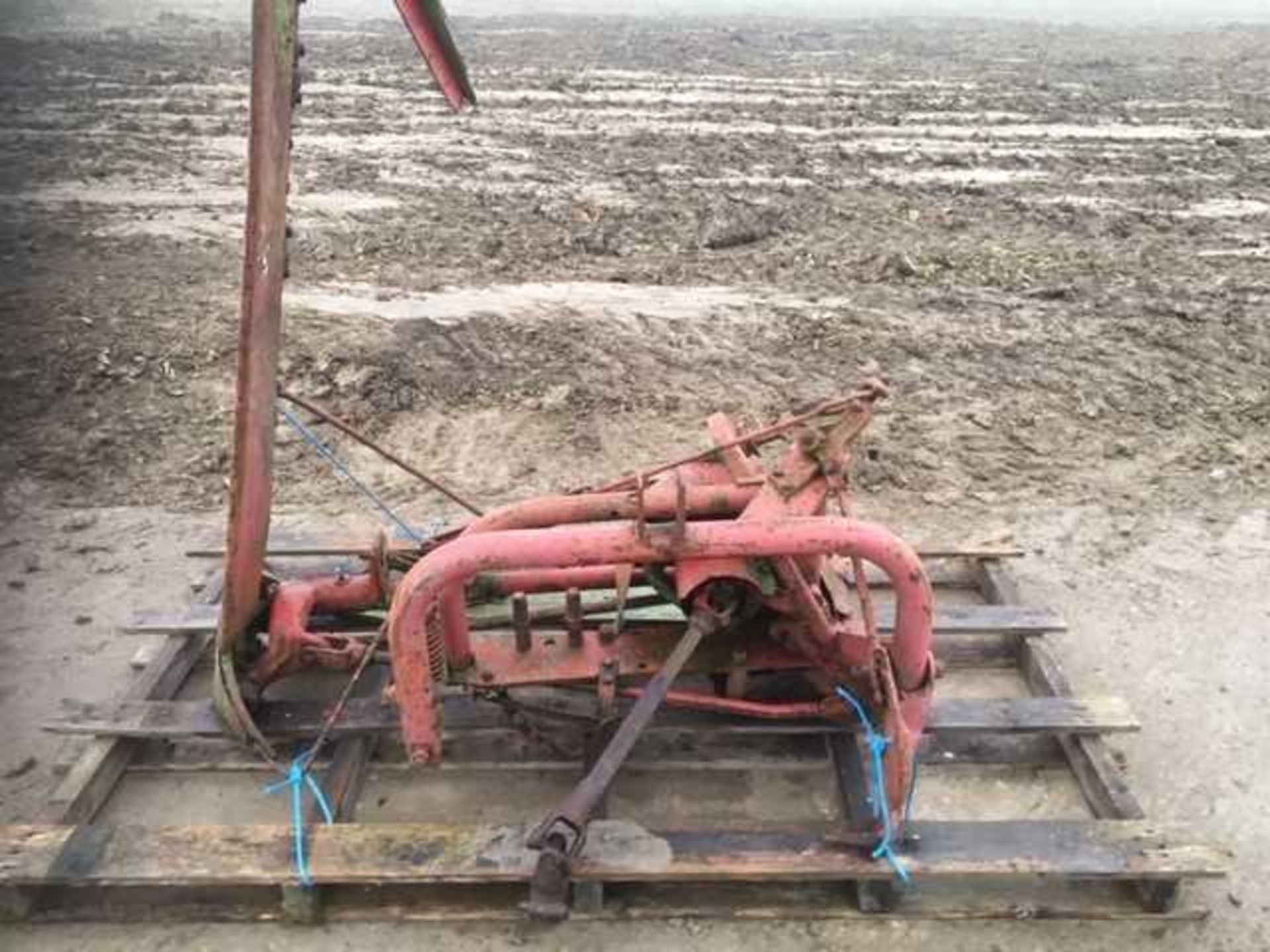 Massey Ferguson Finger Bar Mower (Serial Number W13979) - Image 2 of 3