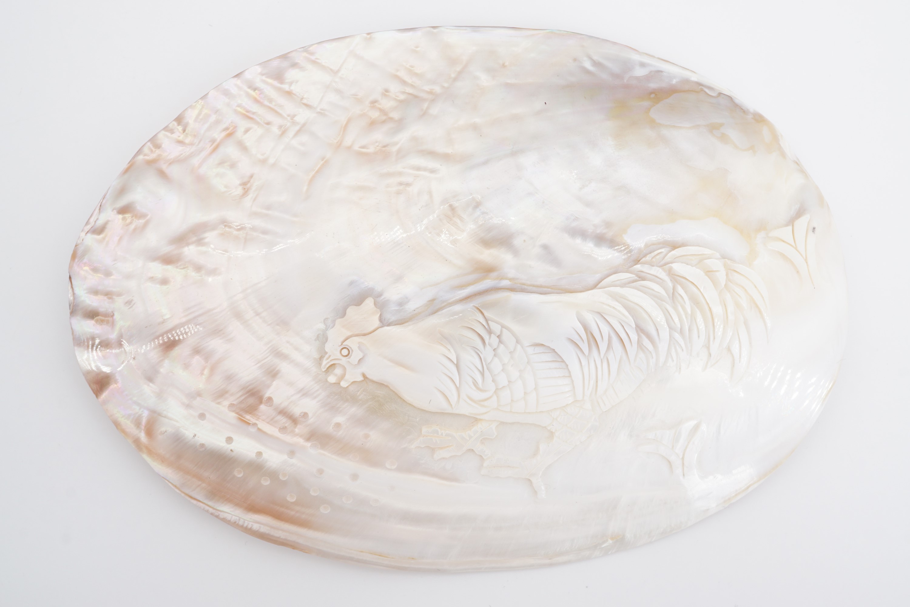 A pearl oyster shell polished and carved in depiction of a cockerel, 15 cm x 11 cm - Image 3 of 3