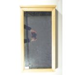A contemporary glazed pine cabinet or display case, 63 cm x 35 cm x 8 cm