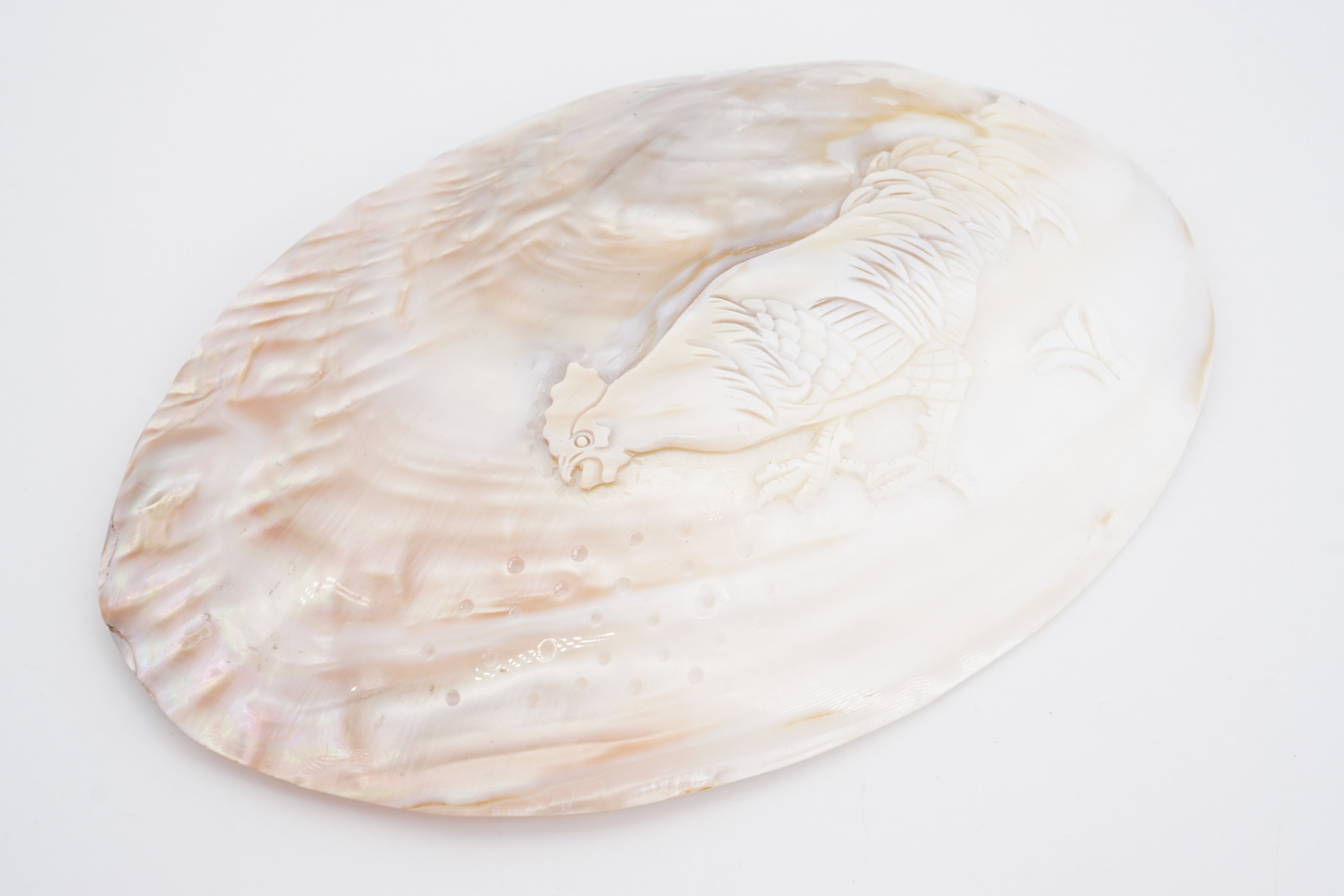 A pearl oyster shell polished and carved in depiction of a cockerel, 15 cm x 11 cm - Image 2 of 3