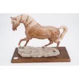 A David Geenty horse sculpture, 34 cm x 28 cm high