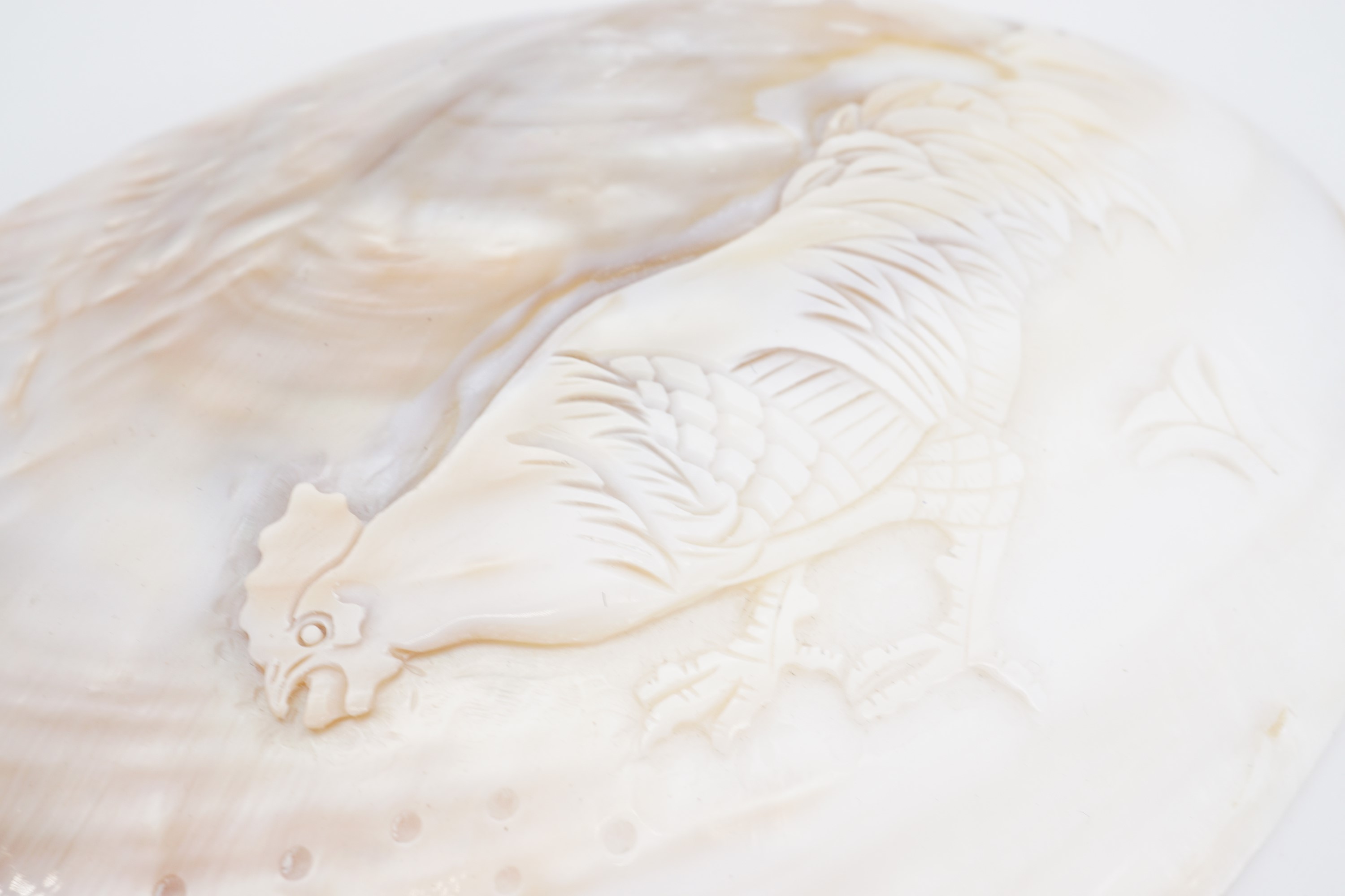 A pearl oyster shell polished and carved in depiction of a cockerel, 15 cm x 11 cm