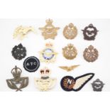 A quantity of RAF and related badges