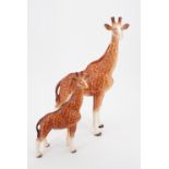 A Melba Ware giraffe pair, tallest 40 cm