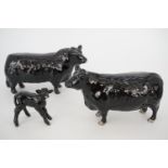 A Beswick Aberdeen Angus bull, cow and calf