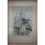 Three vintage sentimental prints depicting birds and flowers, framed and mounted under glass, 56 x