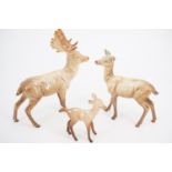 A Beswick stag, doe and fawn, (stag a/f)