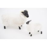 Two Beswick black faced sheep