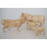 A Beswick Charolais bull, cow and two calves