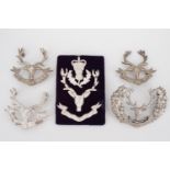 Five Seaforth Highlander's cap badges