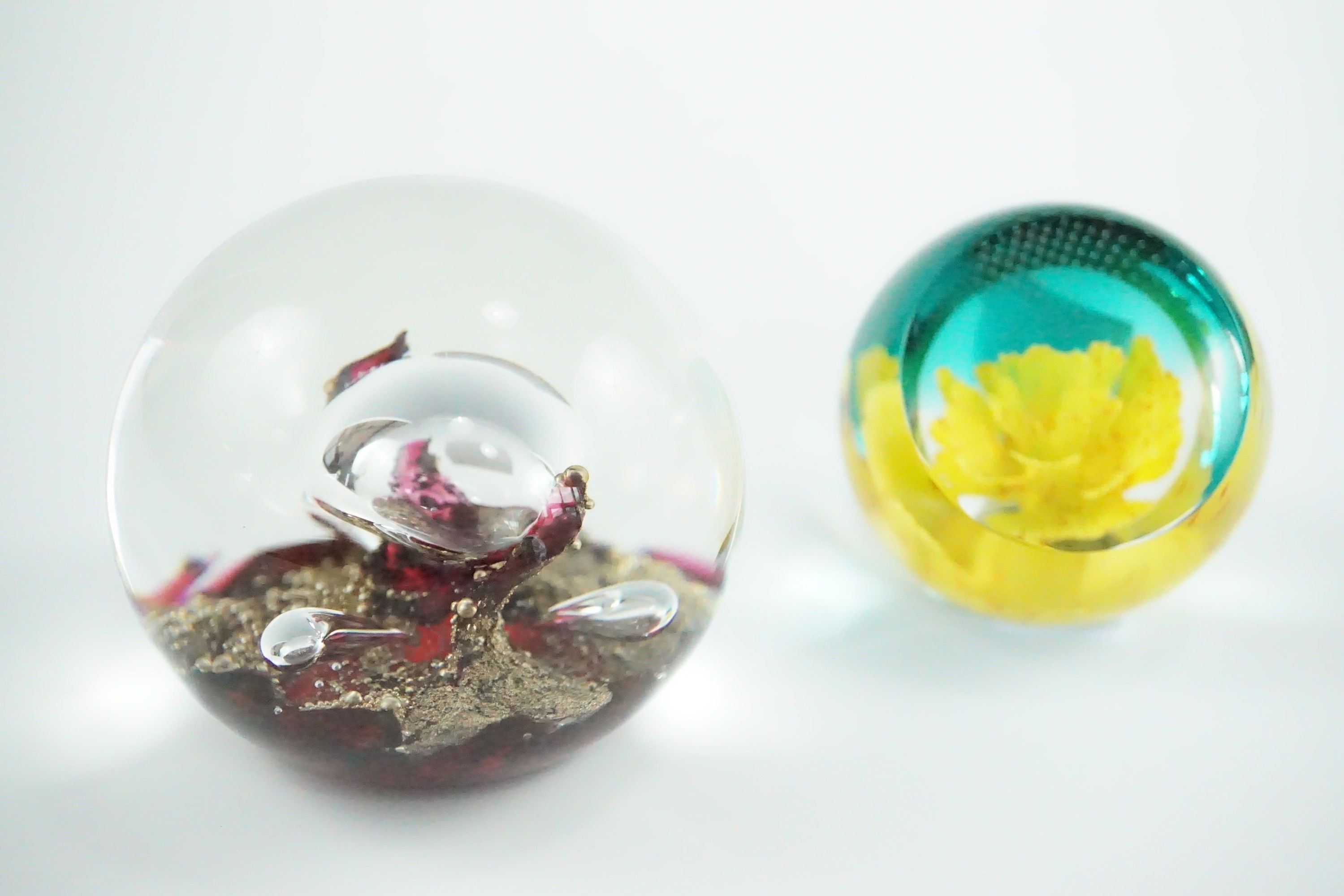 A Caithness yellow carnation paperweight and a Selkirk glass paperweight