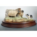 A boxed Border Fine Arts study of sheep and sheep dog, early Ray Ayres limited edition, 8 x 15 cm,