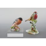 A Royal Worcester Bullfinch and Royal Adderley English Robin, 12 cm and 7 cm high