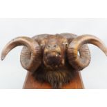 A taxidermy rams head