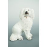 A 19th Century Staffordshire type poodle, the dog modelled in a seated position, 14 cm high