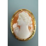 A 9ct gold mounted shell cameo brooch, 27 mm x 23 mm