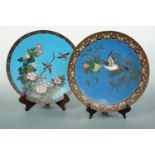 Two Chinese / Japanese cloisonne dishes, each depicting birds amongst blossoming and fruiting