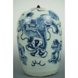 A Chinese blue-and-white porcelain oviform jar, decorated in depiction of a Buddhistic lion / shishi