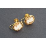 A contemporary pair of 9ct gold and cameo earrings, with screw back fastenings, 2.4g