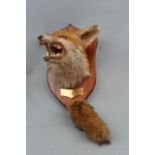 A taxidermy fox's head plaque and brush