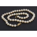 A single-strand pearl necklace with high carat yellow metal clasp, pearls 6 mm, 42 cm