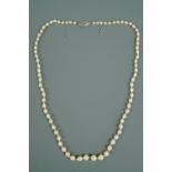 A necklace of graded fresh water pearls with marcassite-set white metal clasp, 50 cm