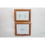 A pair of contemporary Winnie the Pooh nursery prints, framed under glass, 30 x 38 cm (framed)