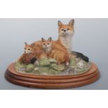 Border Fine Art, Foxes Family Portrait B0038