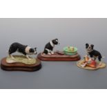 Three Border Fine Art collie figurines; including Trouble Ahead JH 74 and Wash Day A0193