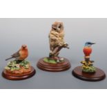 Three Border Fine Art bird figurines; owl, robin with daisies RB43 and Riverside Jewel B0805