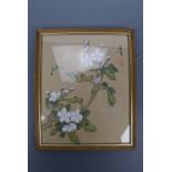 A Japanese wash painting of a cherry blossom bough and a butterfly, framed under glass, 28 x 23 cm