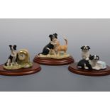Three small Border Fine Art collie figurines; Just About Friends JH87, Future Stars B0359 and Not