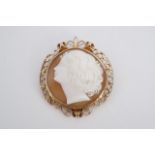 A 9 ct gold mounted shell cameo brooch, the cameo depicting the profile of a woman with flowing