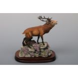 A Border Fine Arts red stag 151, 15 cm high