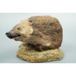 An early Border Fine Arts hedgehog by Victor Hayton, circa 1977, not listed in Charlton, 12 cm long