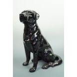 A large Beswick black Labrador, 33 cm high