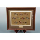 Ten framed salmon flies including Blue Charm, Gordon, Dunkeld, Dusty Miller etc., 39 × 32 cm