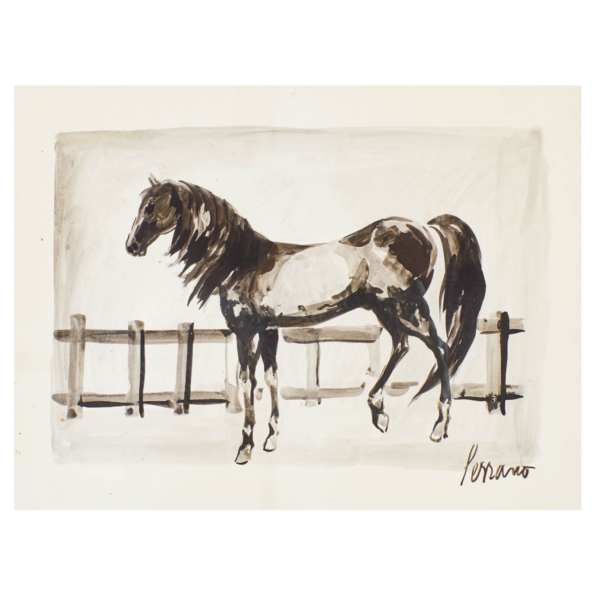 Josep Miquel Serrano. Caballo. Dibujo a tinta y aguada sobre papel.