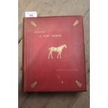 Captain M. Horace Hayes, one volume ' Points of the Horse ', Second Edition, published Thacker &